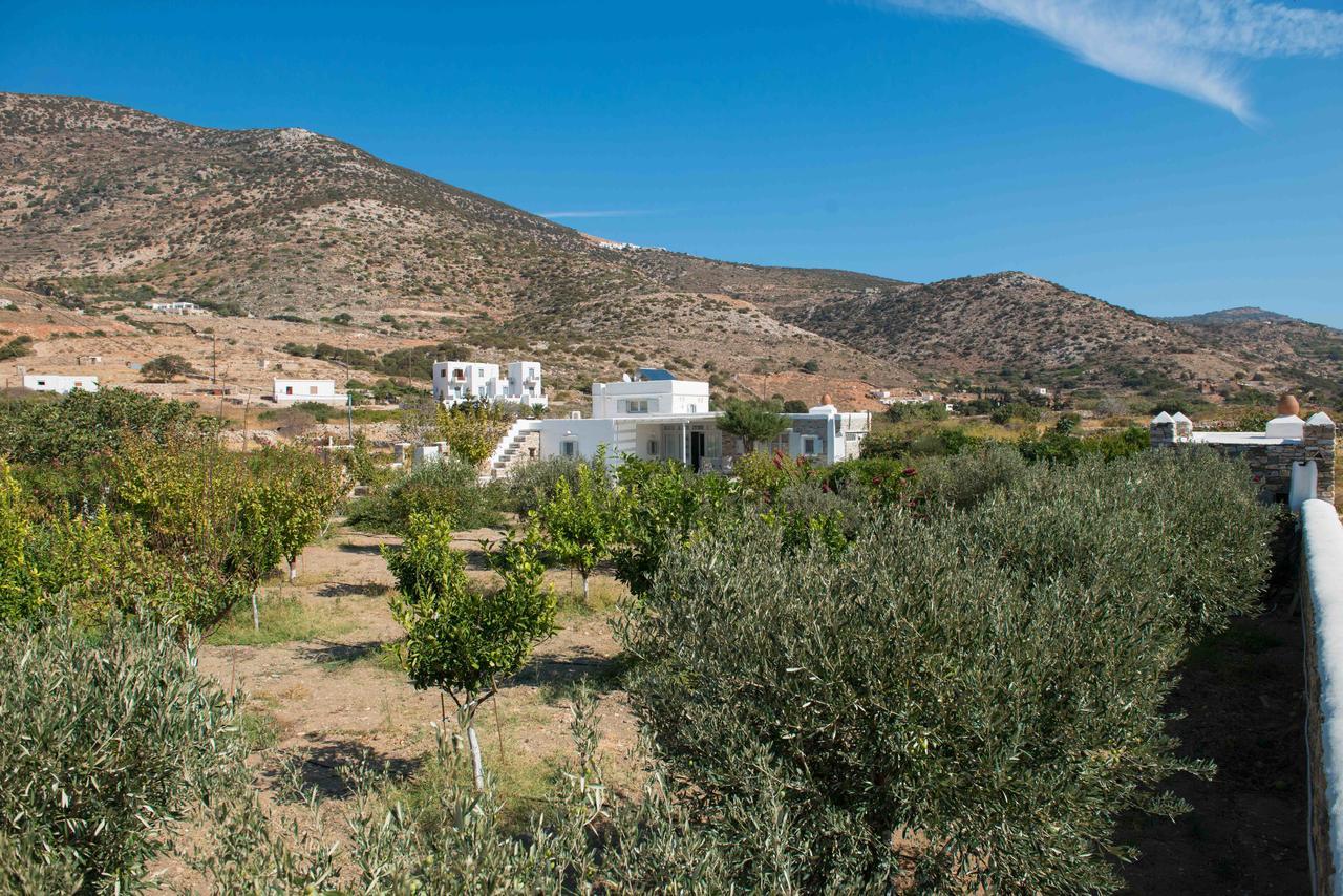 Villa River With Pool Kamares (Sifnos) Exterior foto